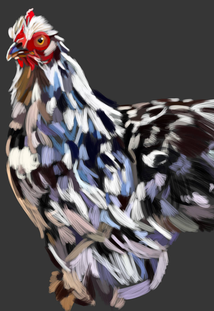 Chicken Deviantart The Favorite Chicken by Birdgirlandblooms on DeviantArt