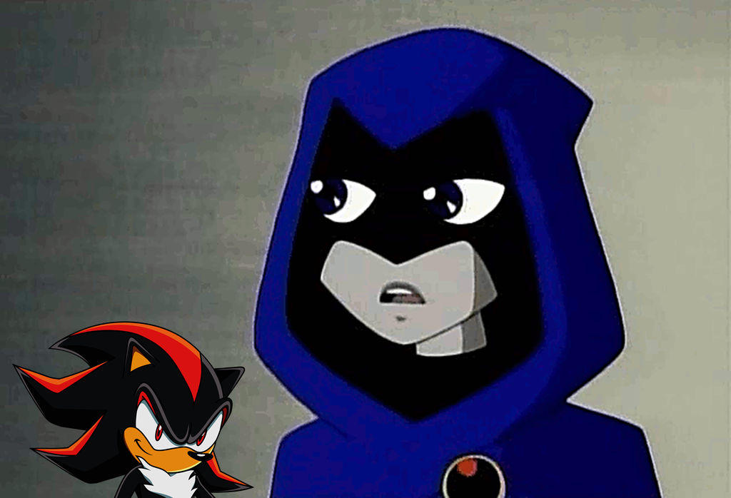 Shadow Raveb Shadow the Hedgehog and Raven by Bandidude on DeviantArt
