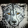 Cheetah black and white
