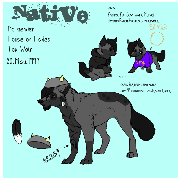 Official Native Sheet 2013  // Native 3.0