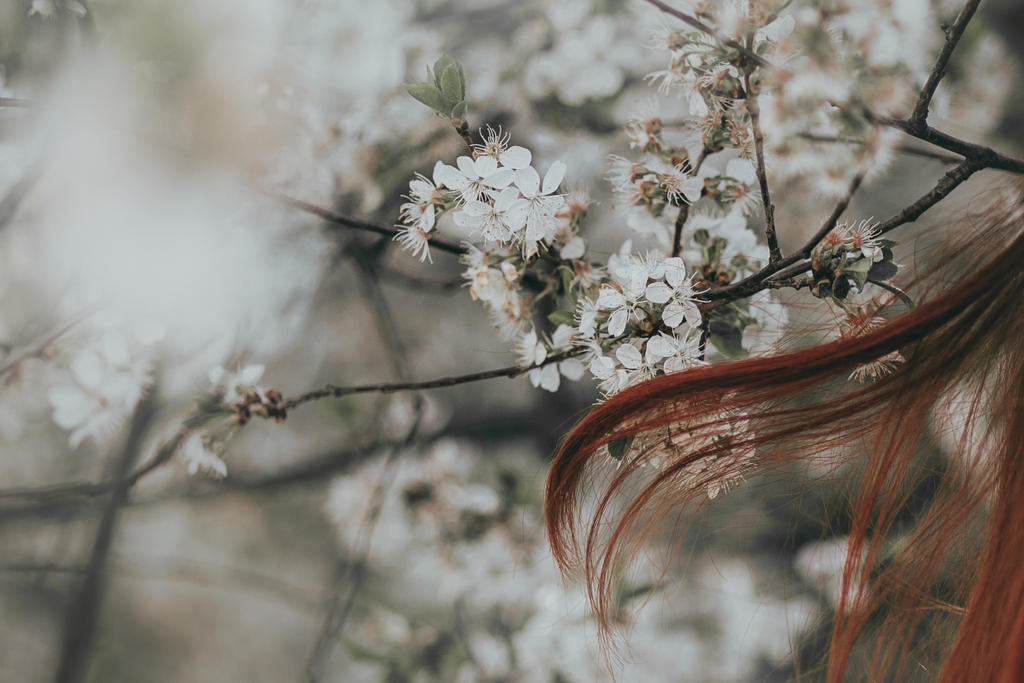Spring flow by FoxPhotoPL on DeviantArt