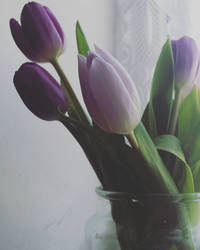 Beautiful Mothers Day Tulips