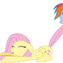 Fluttershy Doesn't Like Dragons