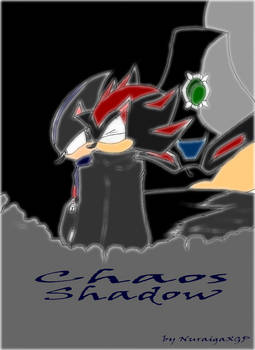 Chaos Shadow