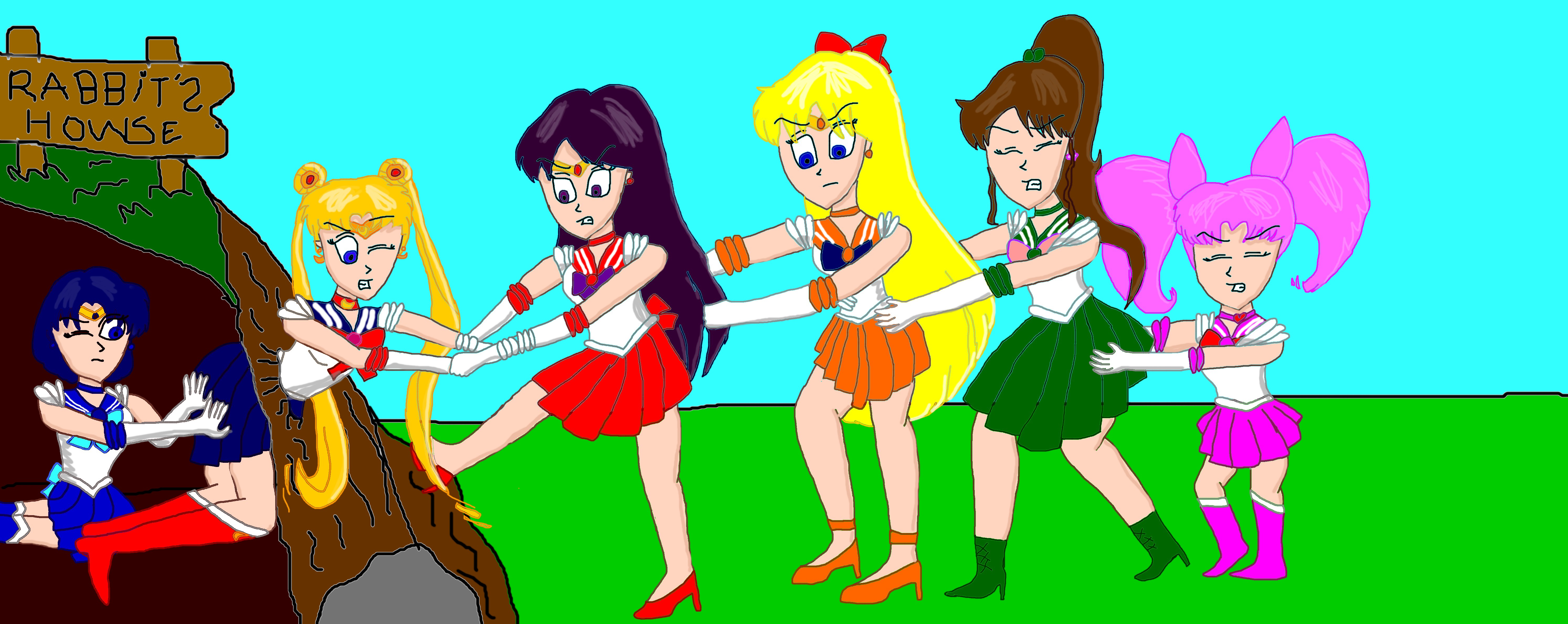 Sailor Moon Trapped Inside A Rabbit Hole by Comptor on DeviantArt