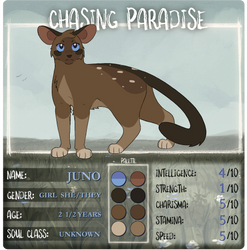 Chasing Paradise | Juno