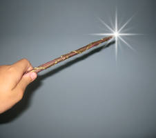 Harry Potter Wand Craft