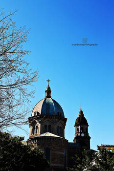 the manila cathedral.