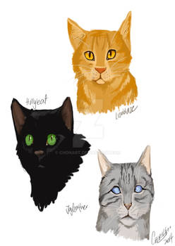 Warrior Cats