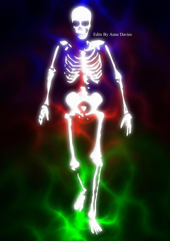 Skeleton by EditsByAnneDavies on DeviantArt