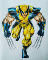 Wolverine 