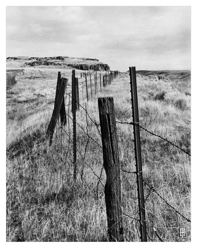'Fenceline' by GoaliGrlTilDeath