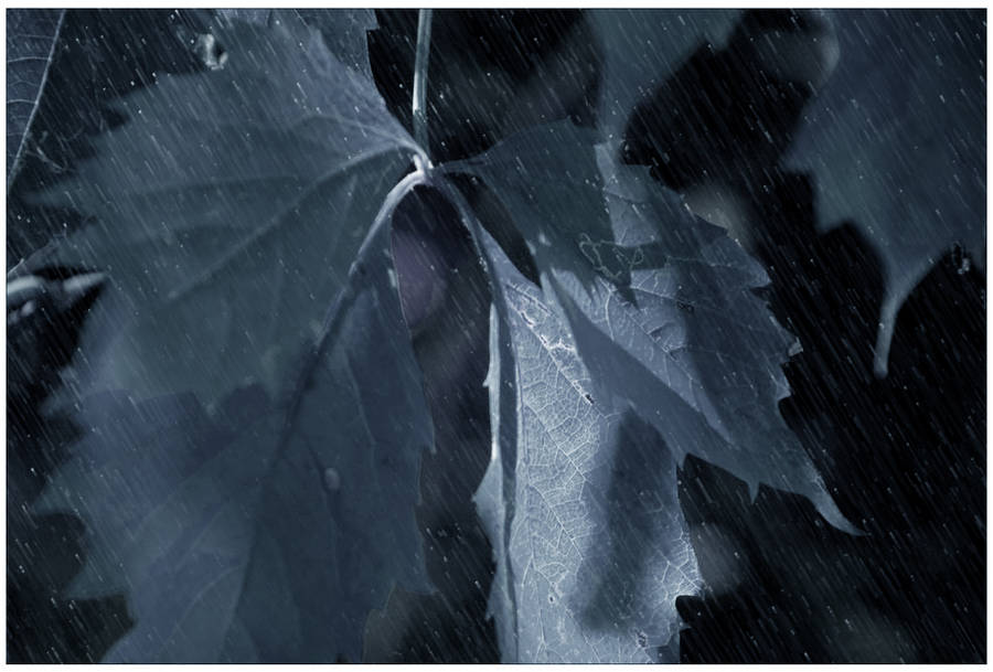 It's Coming- Night Rain by GoaliGrlTilDeath