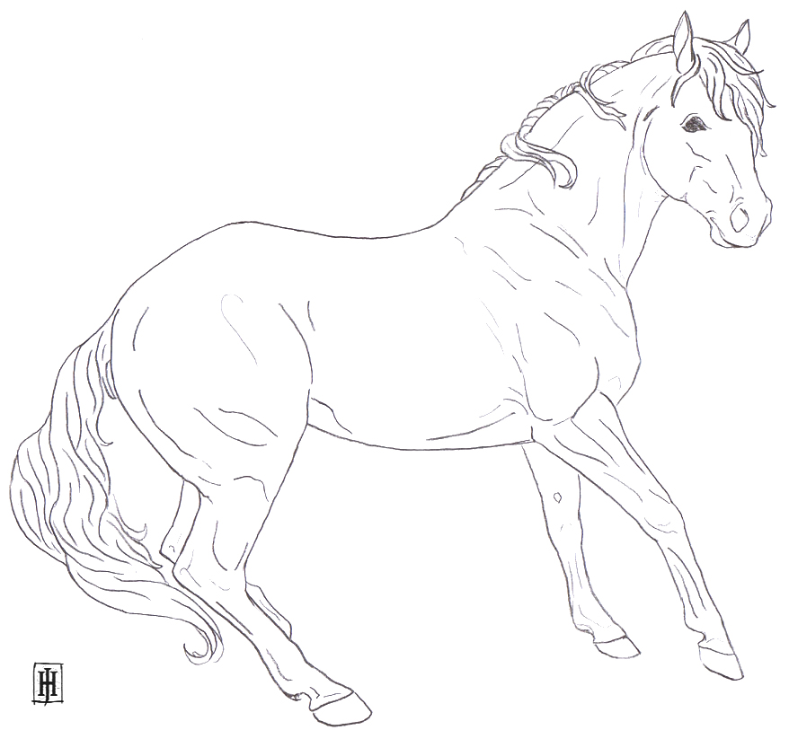 Spanish Horse
