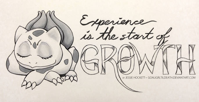 Experience is the Start of Growth