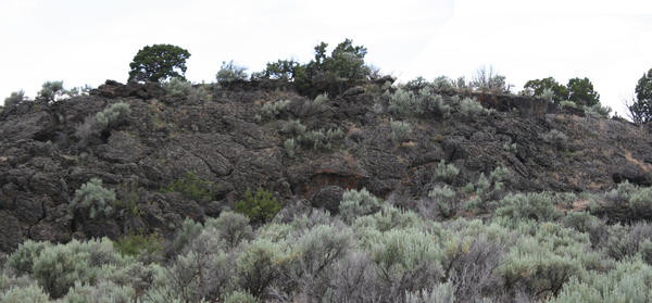 Wrinkles of Earth