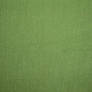 Green Cloth
