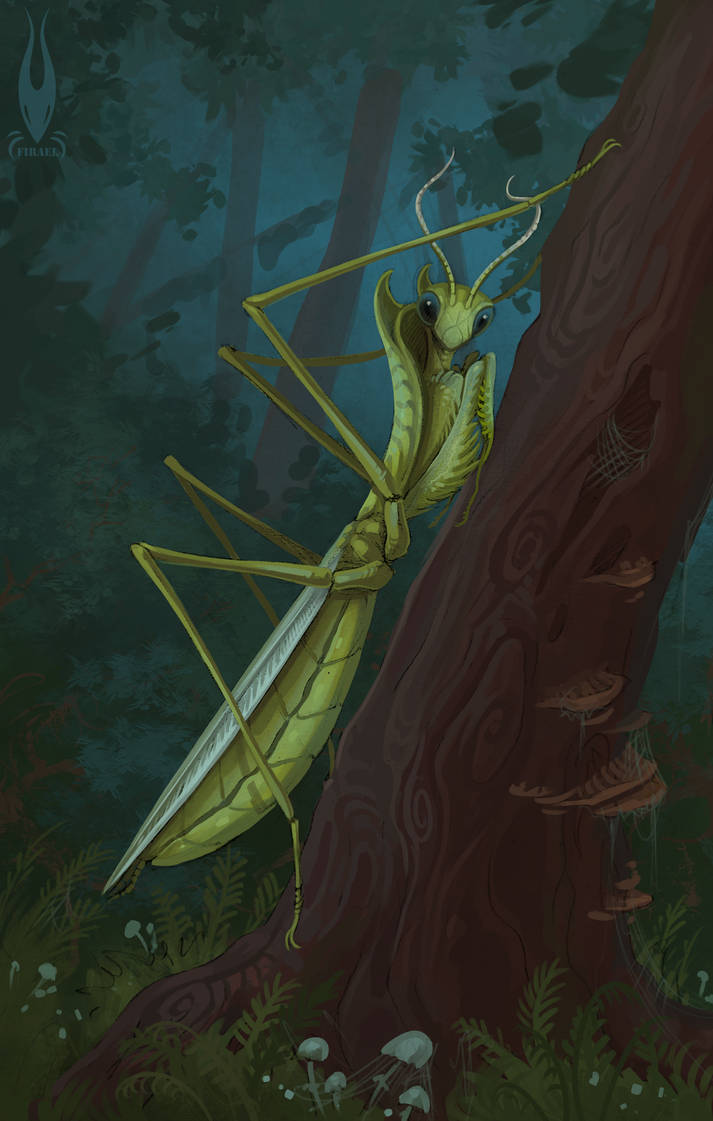 Mants Deviantart Mantis by firael666 on DeviantArt