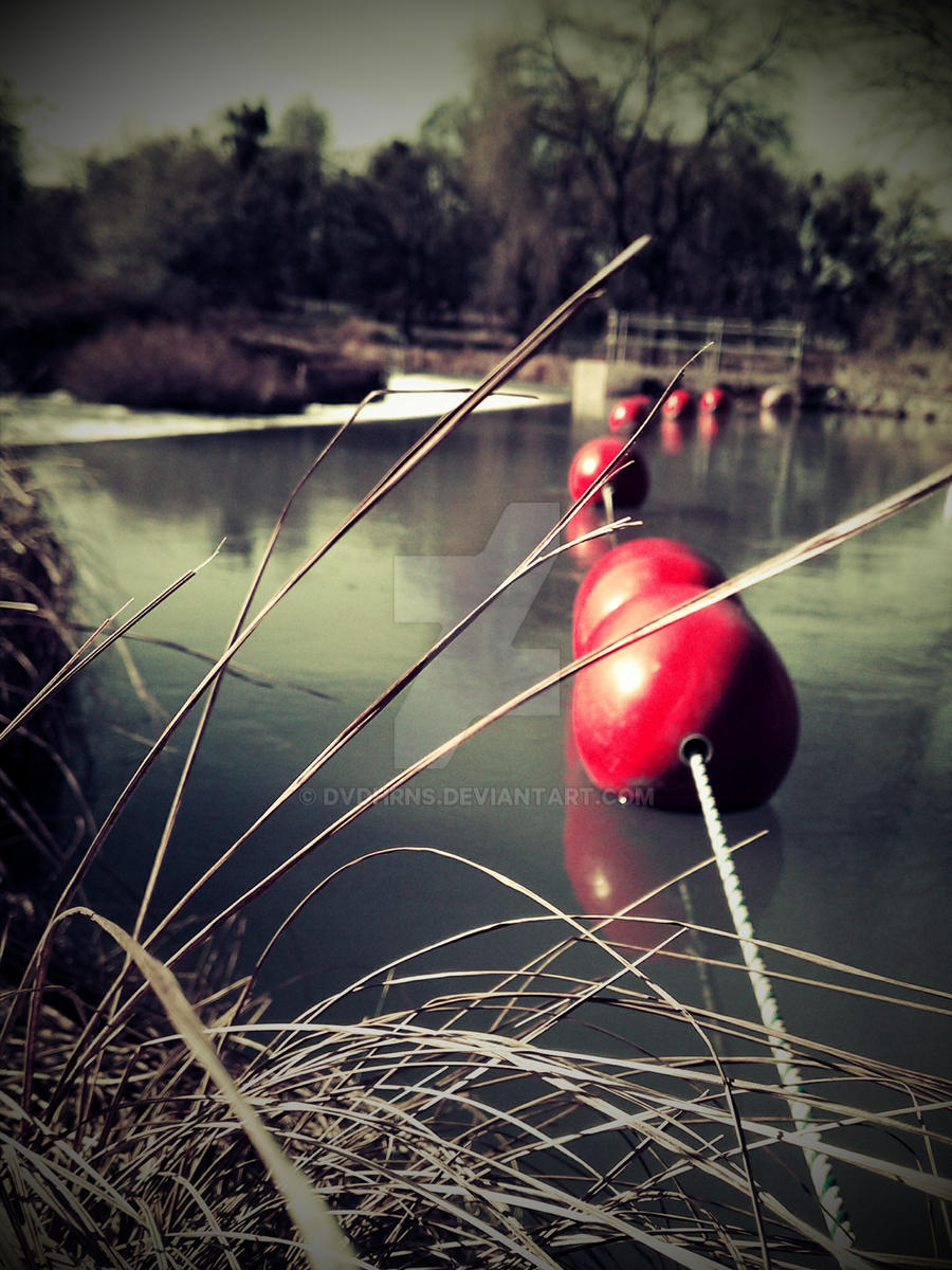 Buoys on Rock Creek