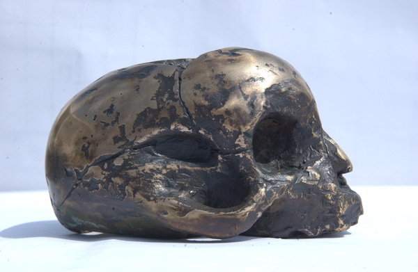 Baby skull in Bronze