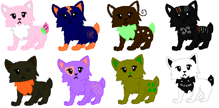 Cheap Bobtail Cat Adopts (6/8 LEFT)