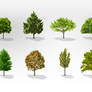 Free Trees Vector Pack