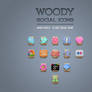 Free Wood Social Icons Vol1
