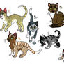 Cat adoptables