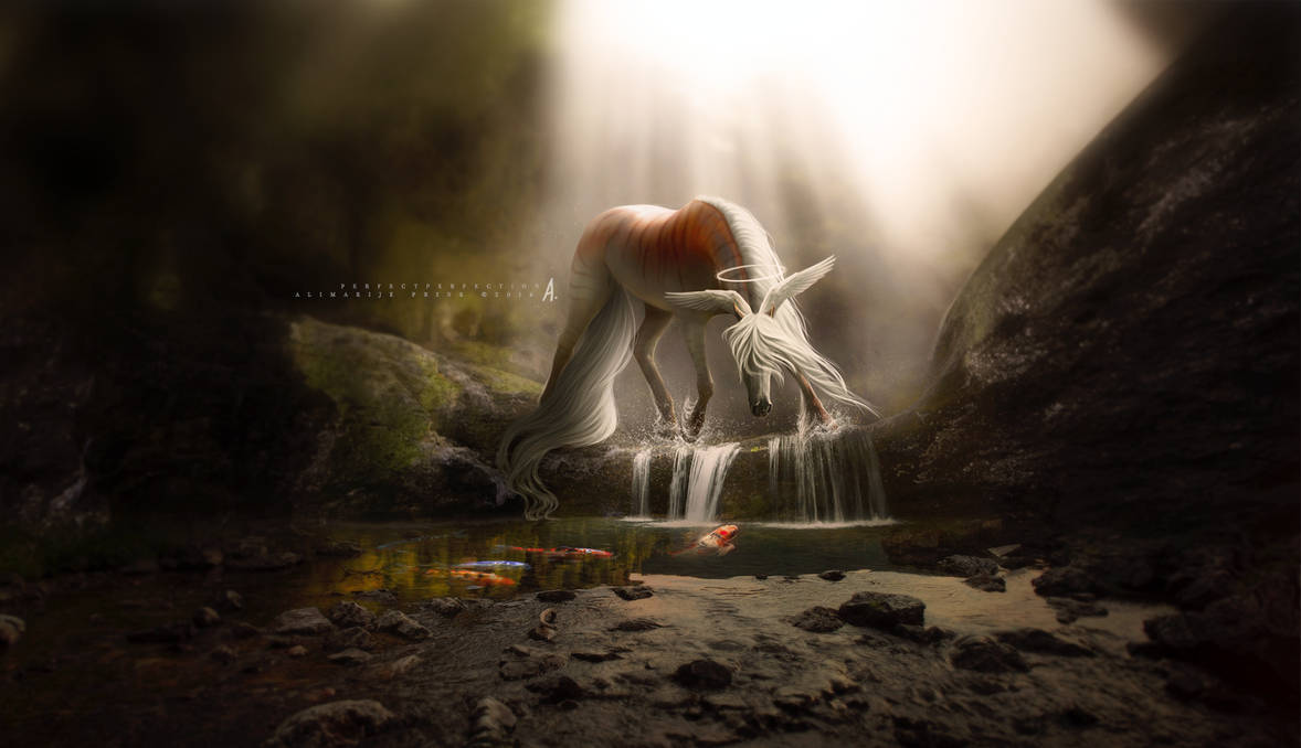 garden of oblivion by alimarije garden of oblivion by alimarije