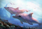 Dolphins by miiatai