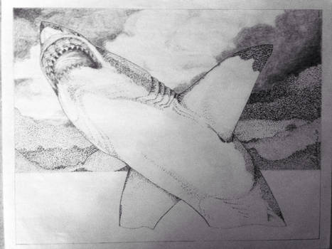 STIPPLE SHARK