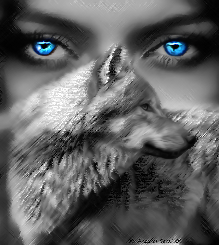 images Beautiful White Wolf Pictures With Blue Eyes eyes wolf st by ponthieu14 on deviantart