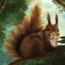 Squirrel