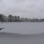 Grey Day on the Pond