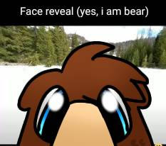 bear on X: face reveal! yes i'm a girl 🥰  / X