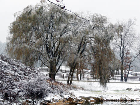 Snowfall at Willow Lake