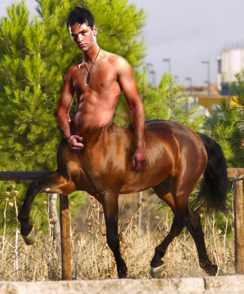 my centaur