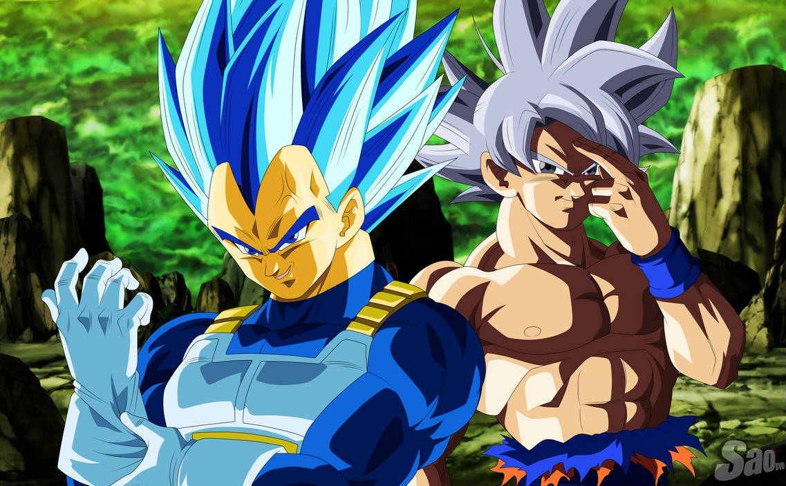 Goku and Vegeta Tournament of power by Arbiter720 on DeviantArt