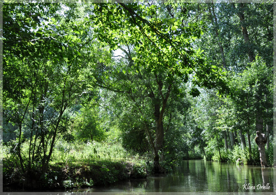 Green canal