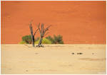 Desert et nature by KlaraDrielle