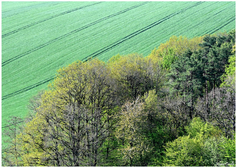 Spring revival by KlaraDrielle on DeviantArt