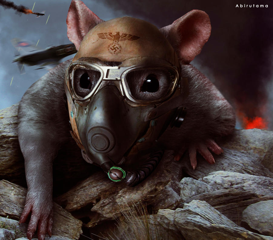Rat Pilot by abirutama on DeviantArt