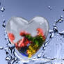 Windows7 Glass Heart splashed