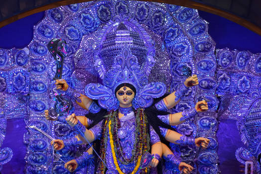 Durga Puja 2017 Peerless Nagar
