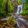 Tarkine Falls