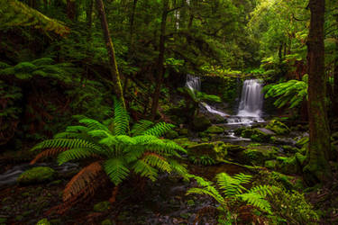 Horseshoe Falls, Tasmania