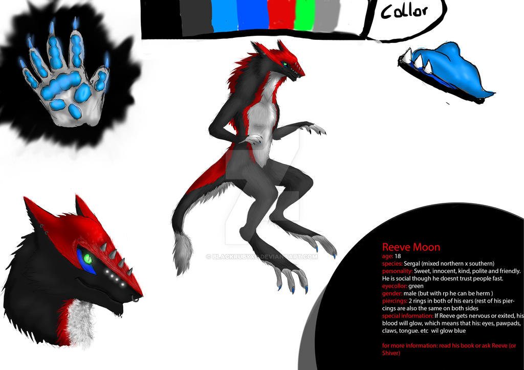 Reeverefsheet1