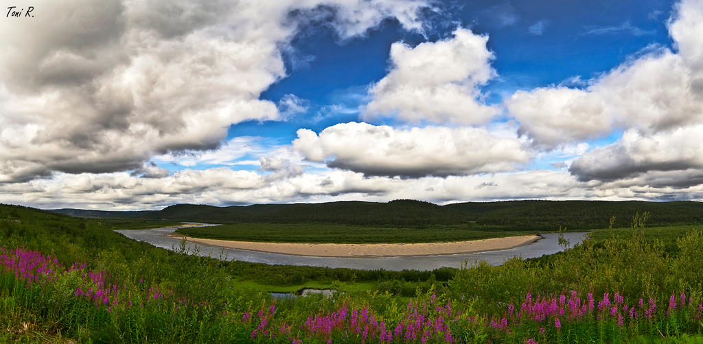 Nordic Landscape by Toni-R