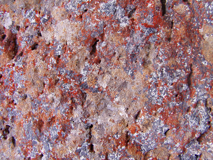 .:TEXTURE:. red rock