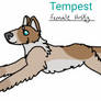 Tempest's New Ref!